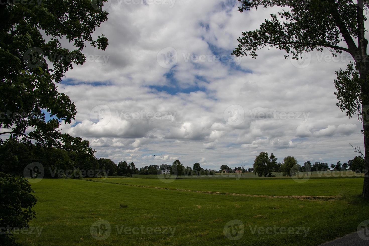 agricultural landscape in Poland on a summer day photo