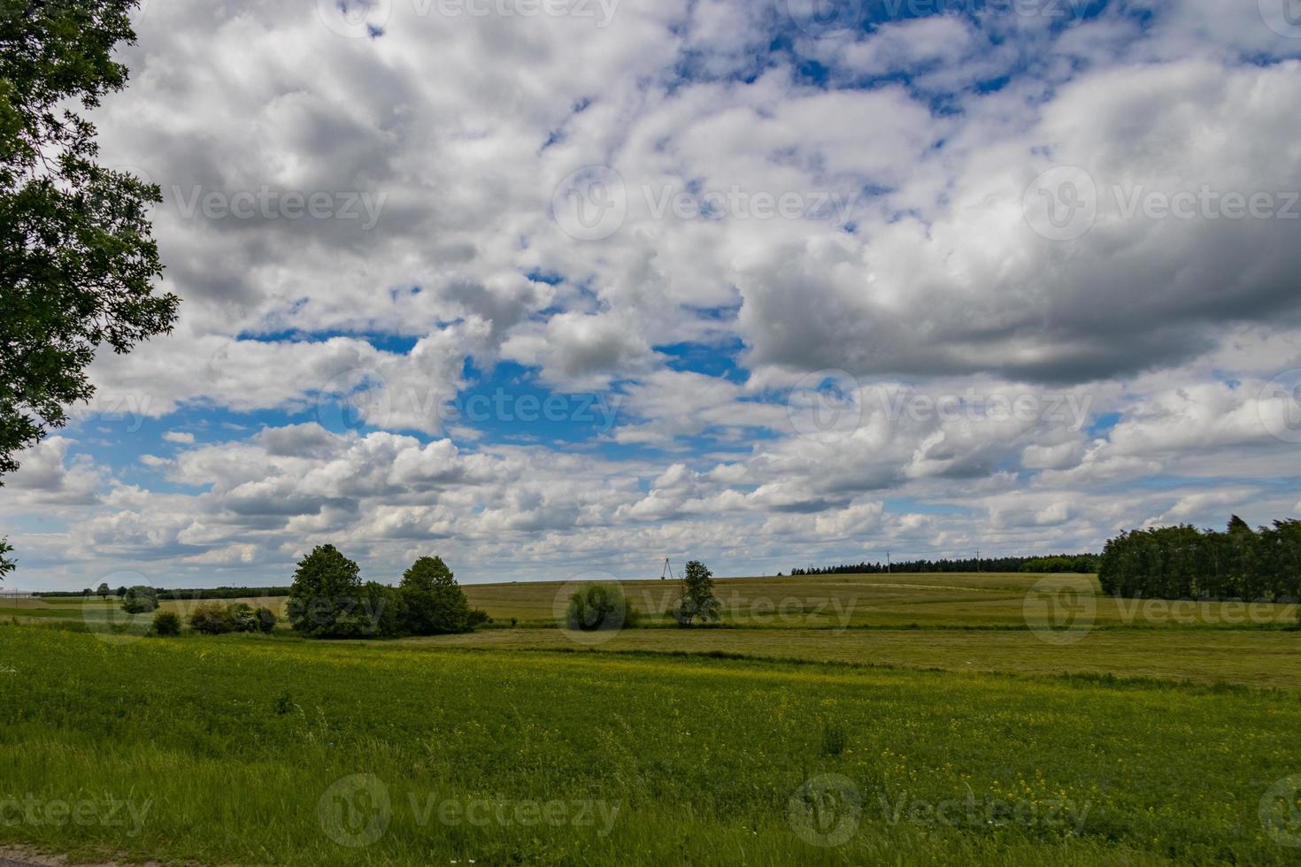 agricultural landscape in Poland on a summer day photo