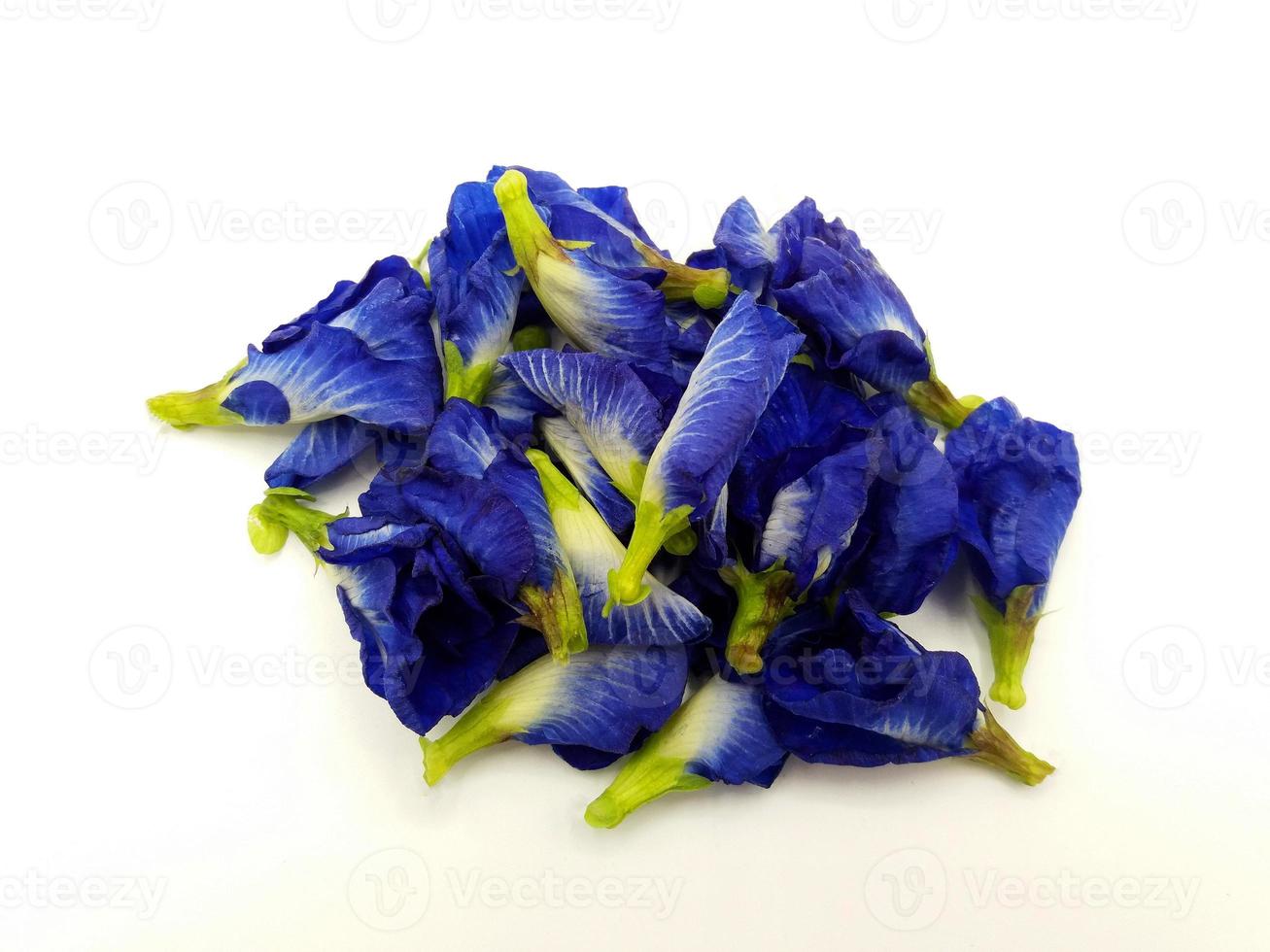 Many fresh blue, purple or butterfly pea flowers isolated on white background. Herb, Food, Beauty of Nature, Petal, flora and floral. The scientific name of flower is Clitoria ternatea L. photo