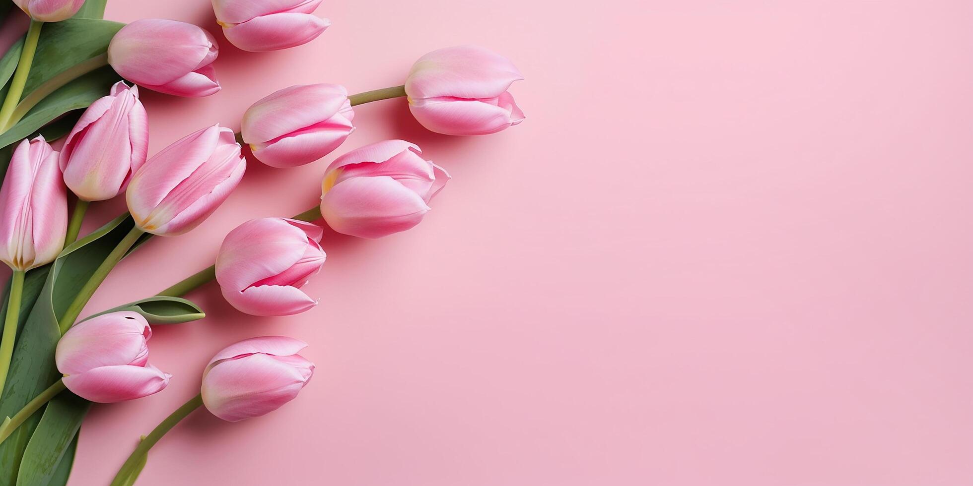 Mother's day, Valentine's Day background concept with pink tulip flowers. . photo