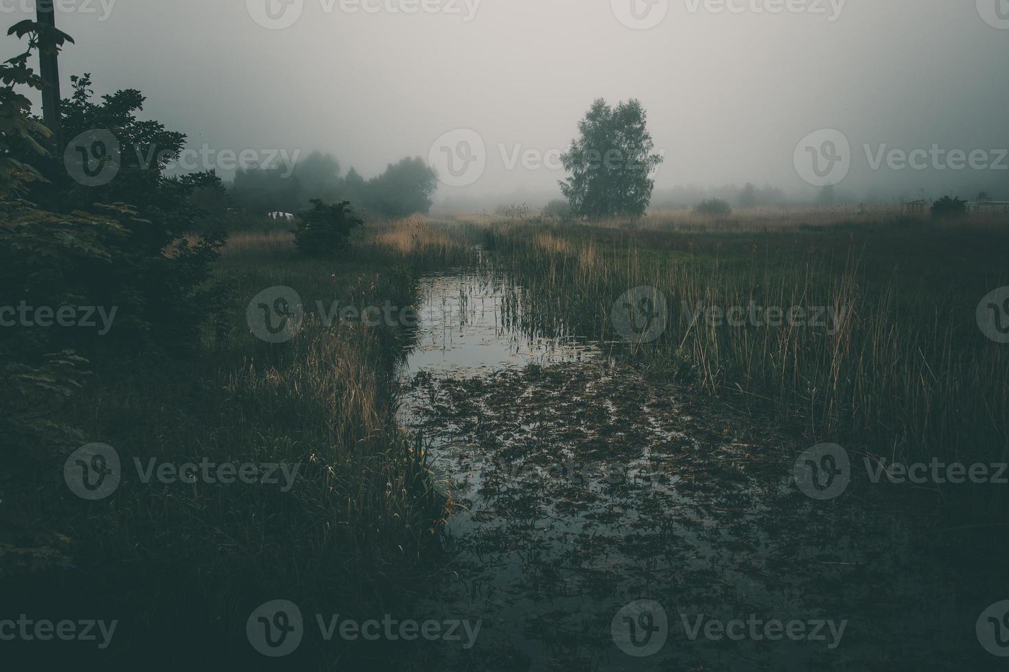 lttle narrow river flowing through the meadow on gray misty day photo