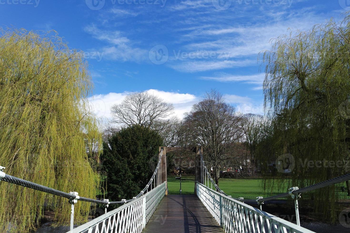 Low Angle View of Tree and Branches at Local Park photo