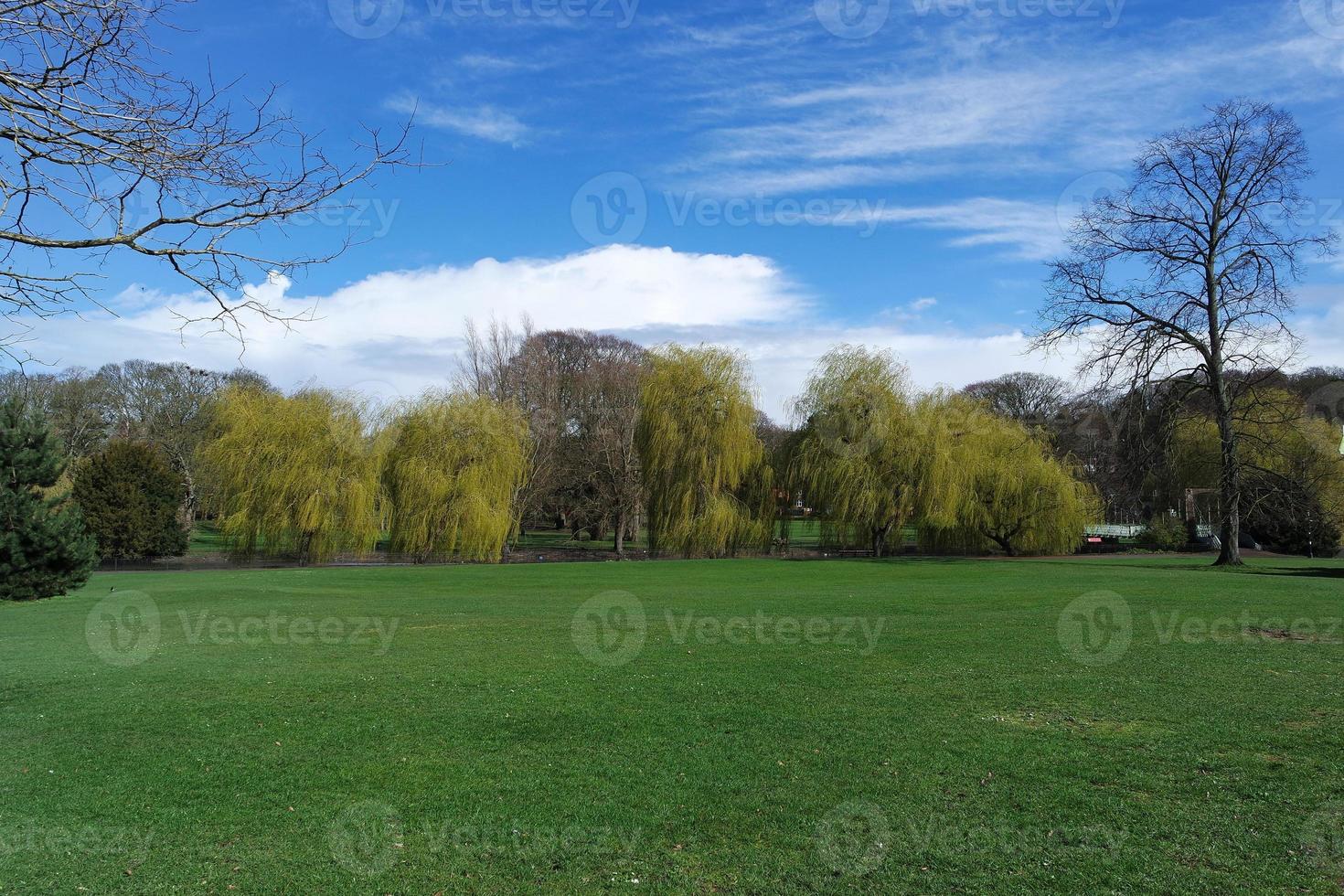 Low Angle View of Tree and Branches at Local Park photo