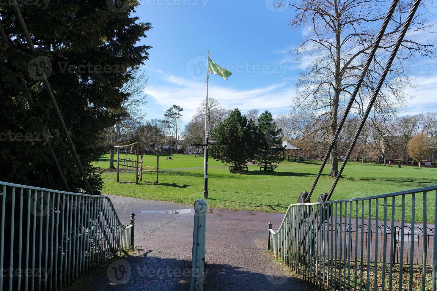Low Angle View of Tree and Branches at Local Park photo