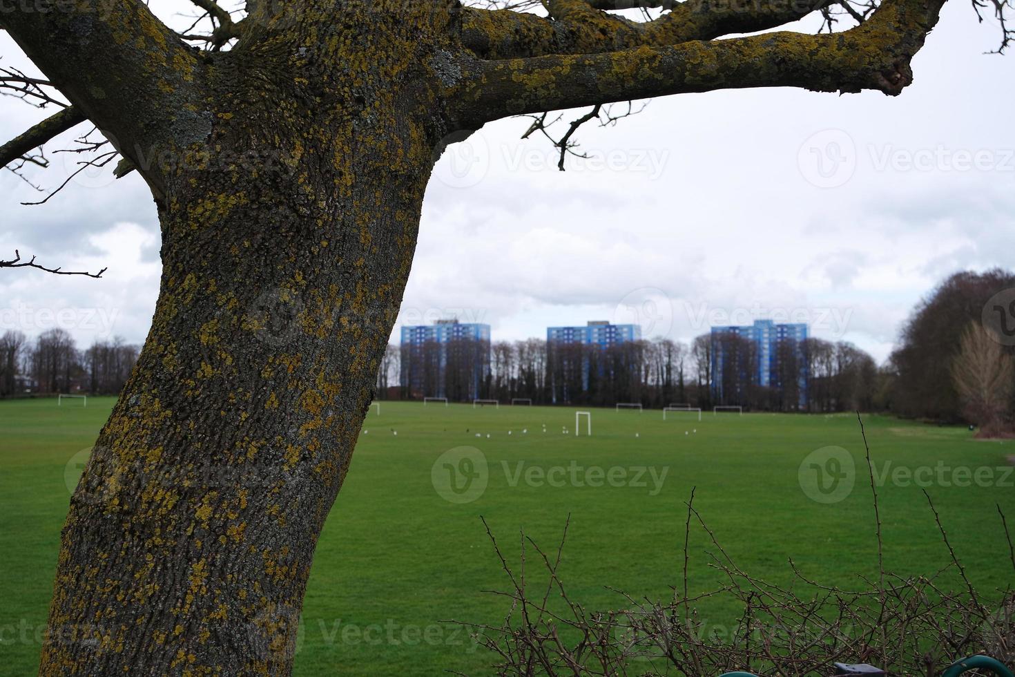Low Angle View of Local Public Park and Beautiful Trees a Clear and Cold Day of 22-March-2023 at Luton Town of England UK. photo