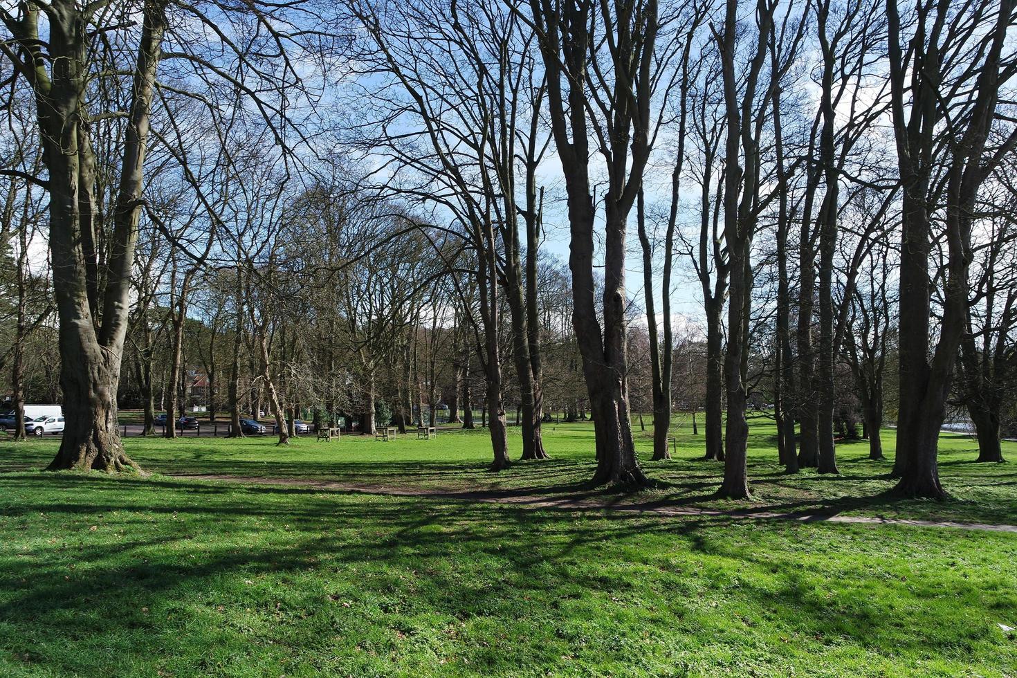 Low Angle View of Local Public Park. The Image Was Captured at Wardown Public Park of Luton Town of England UK During a Cold and Cloudy Evening of 25-March-2023 photo
