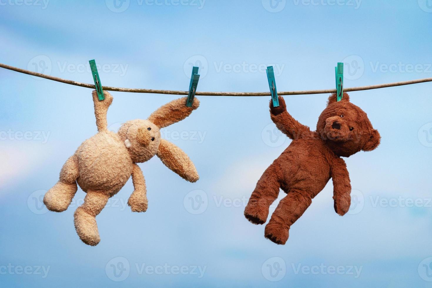 Plush toys bunny and teddy bear are dried on a clothesline after washing photo