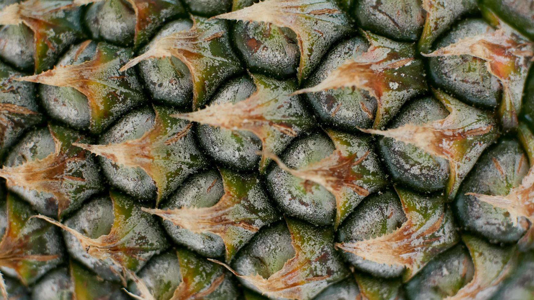 close up of pineapple peel texture for background photo