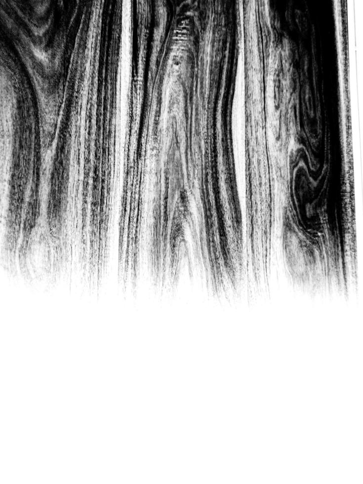 abstract black and white gradient wood grain photo