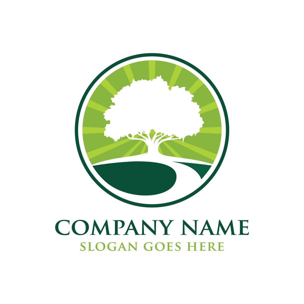 Oak tree logo design vector
