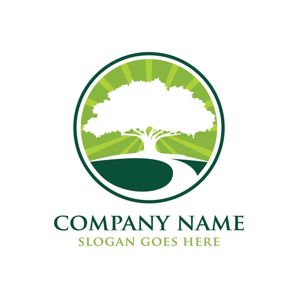 Oak tree logo design vector