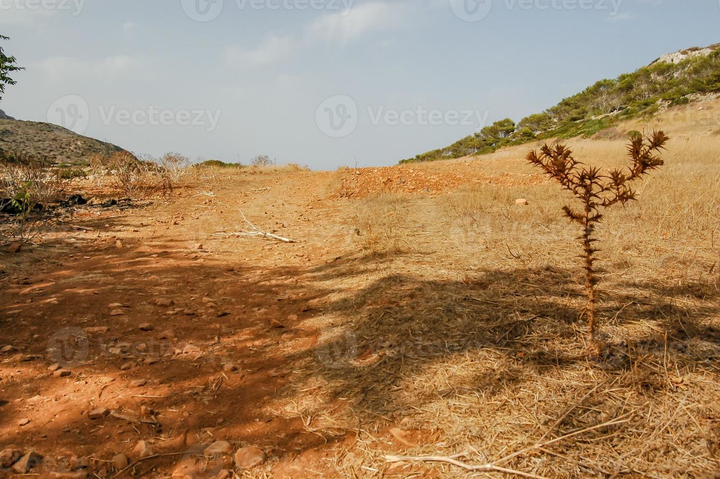 View of the dry landscape photo