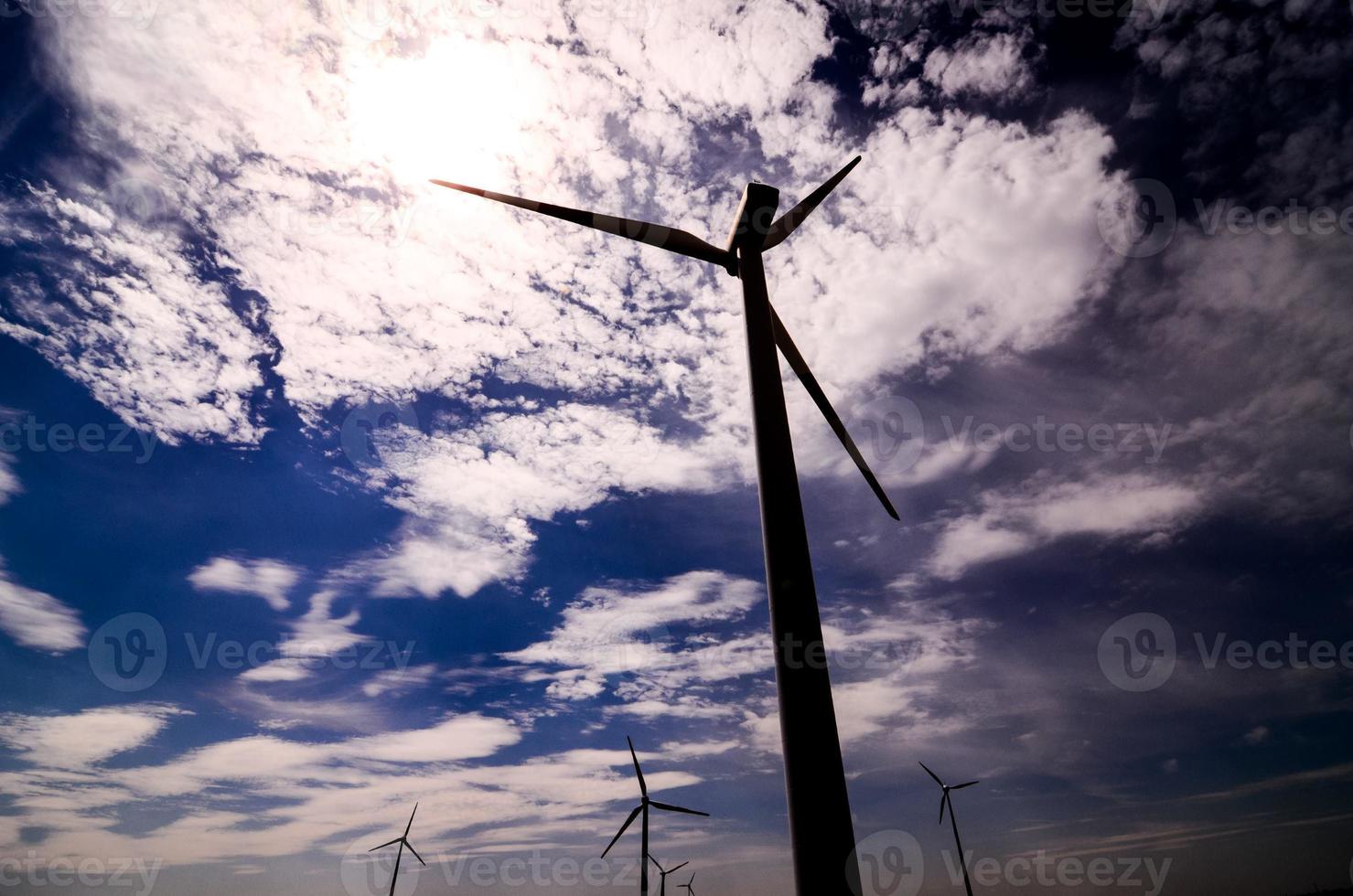 Field of windmills photo