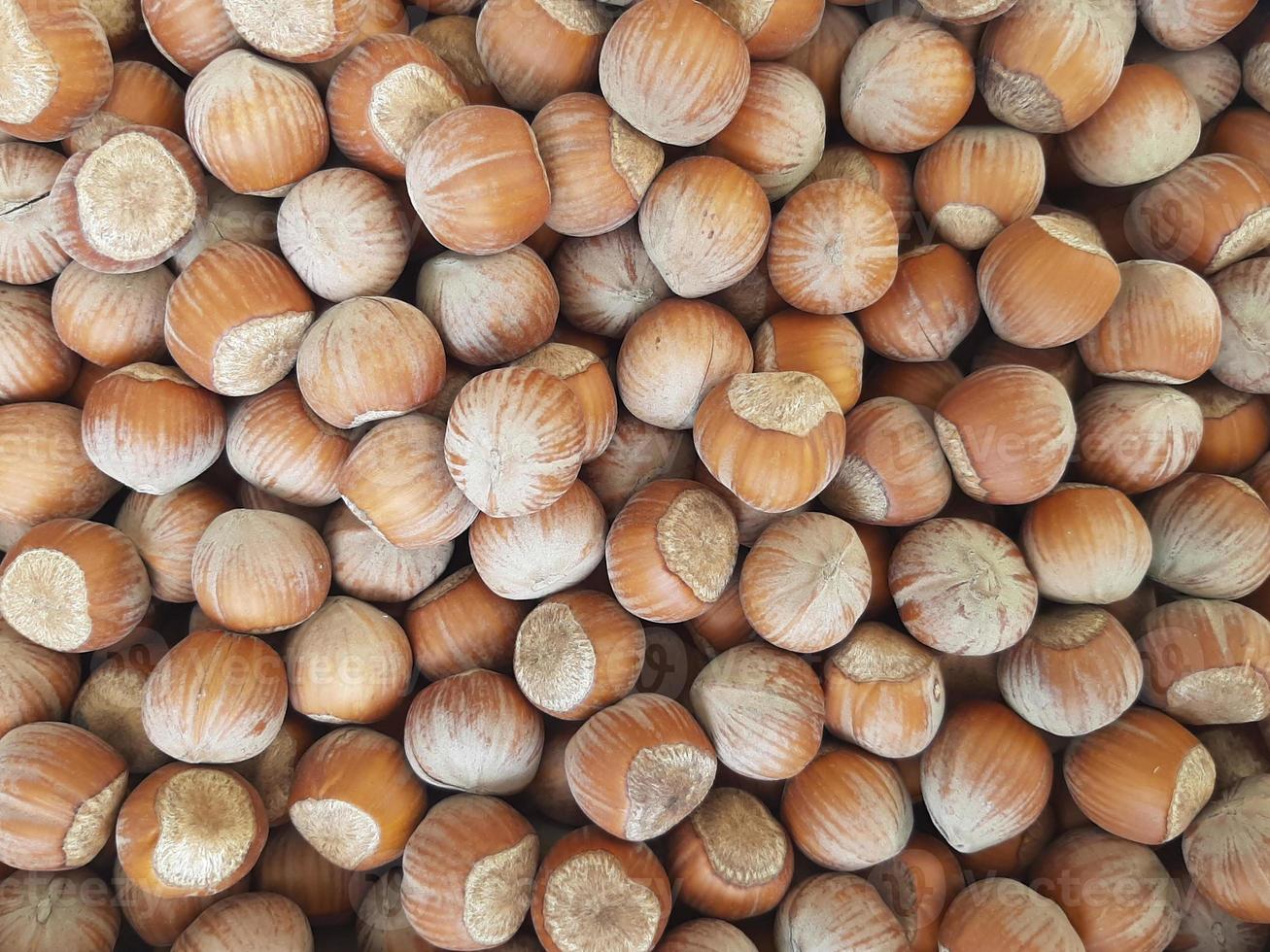 Hazelnut nut health organic brown autumn background concept. Food background. photo