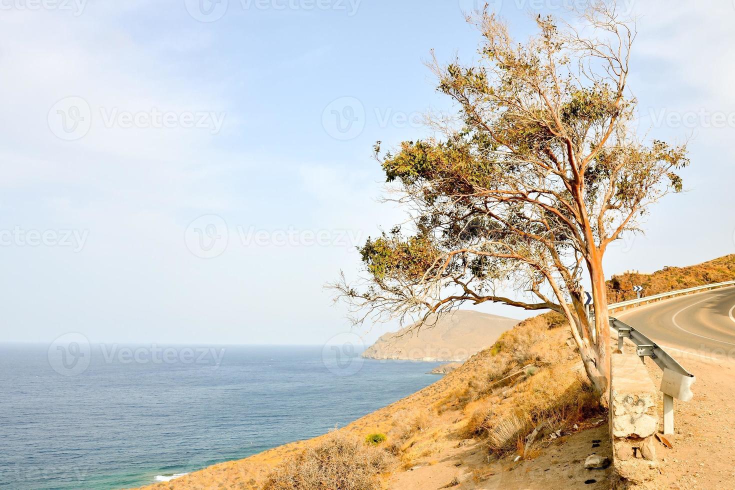 Scenic coastal view photo