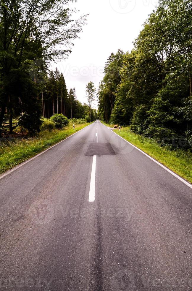 Road in the countryside photo