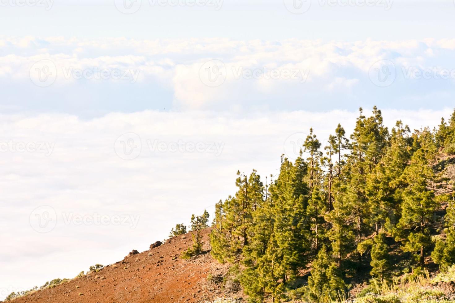 Scenic rural landscape photo