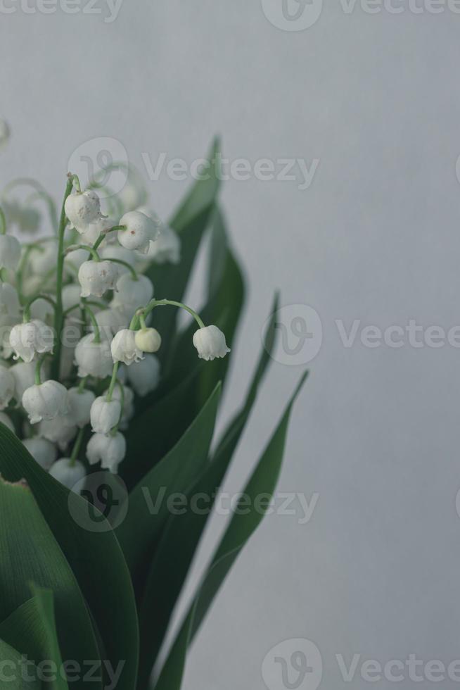 lily of the valley bouquet with on a background of green leaves photo