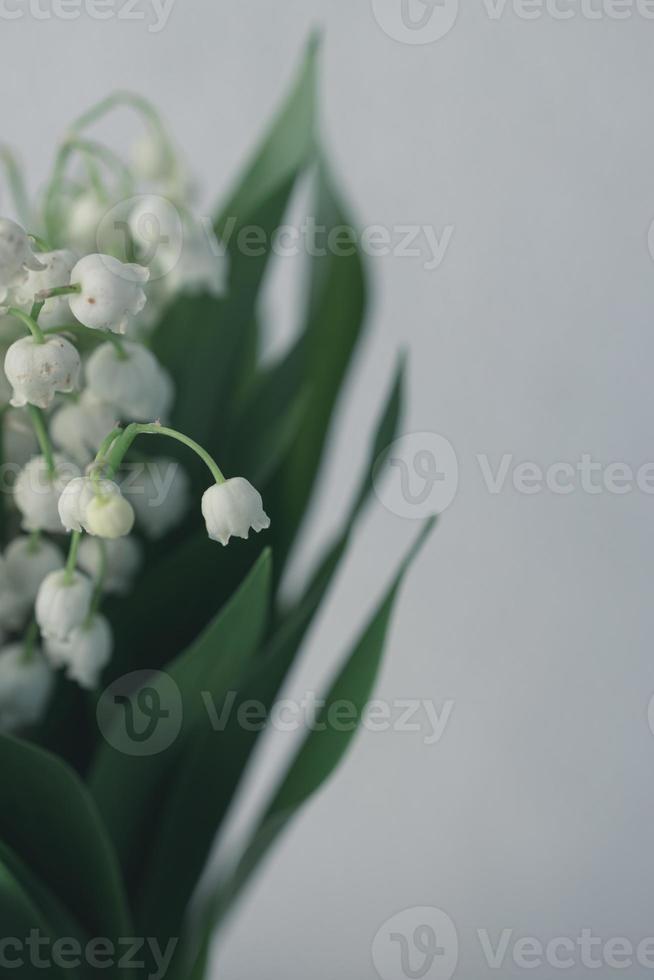 lily of the valley bouquet with on a background of green leaves photo