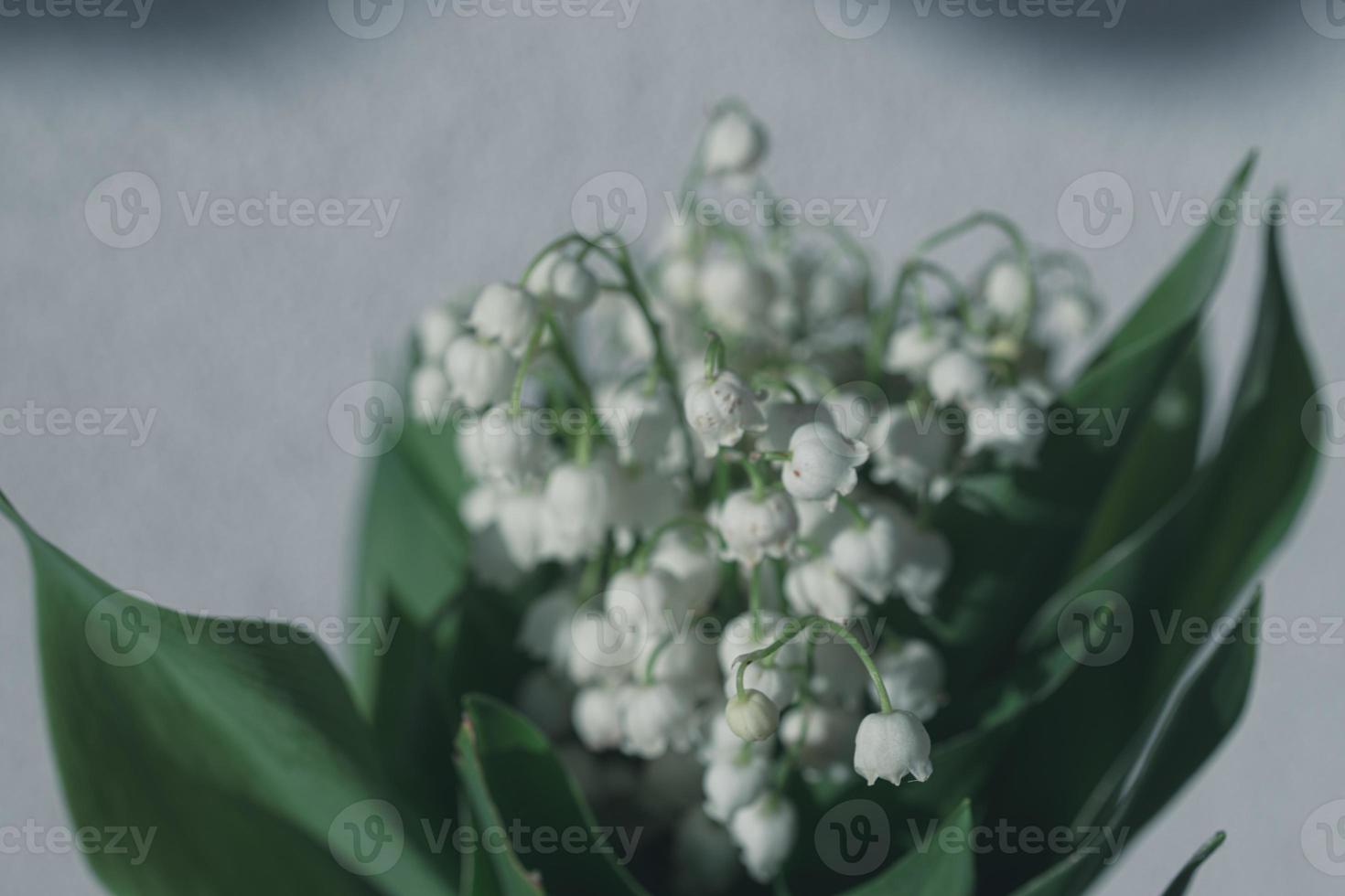 lily of the valley bouquet with on a background of green leaves photo