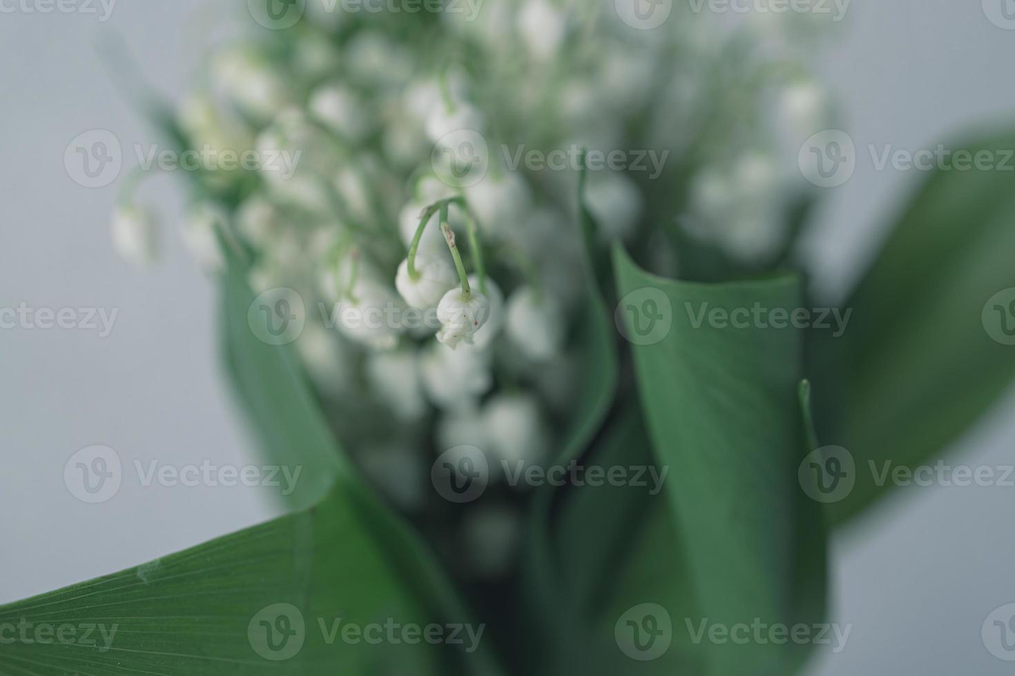 lily of the valley bouquet with on a background of green leaves photo