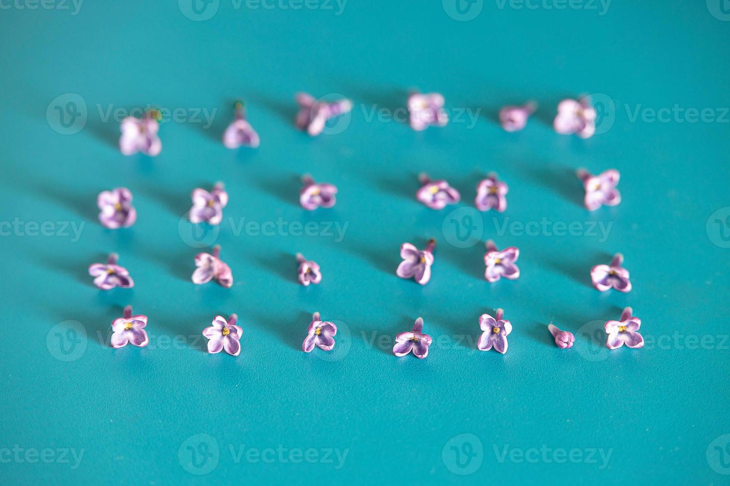 purple lilac flowers lying on a turquoise background photo