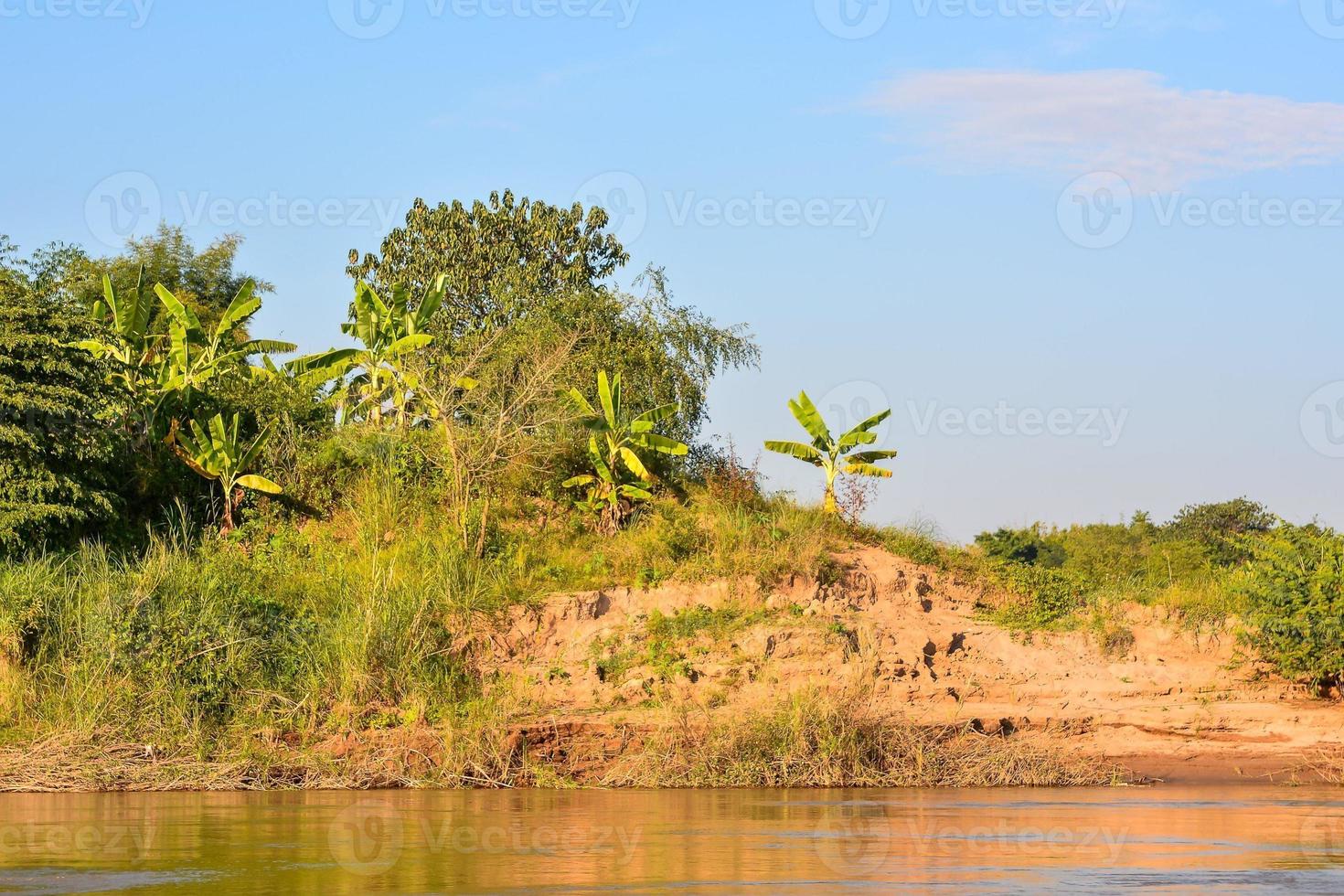 Landscape with trees and river photo