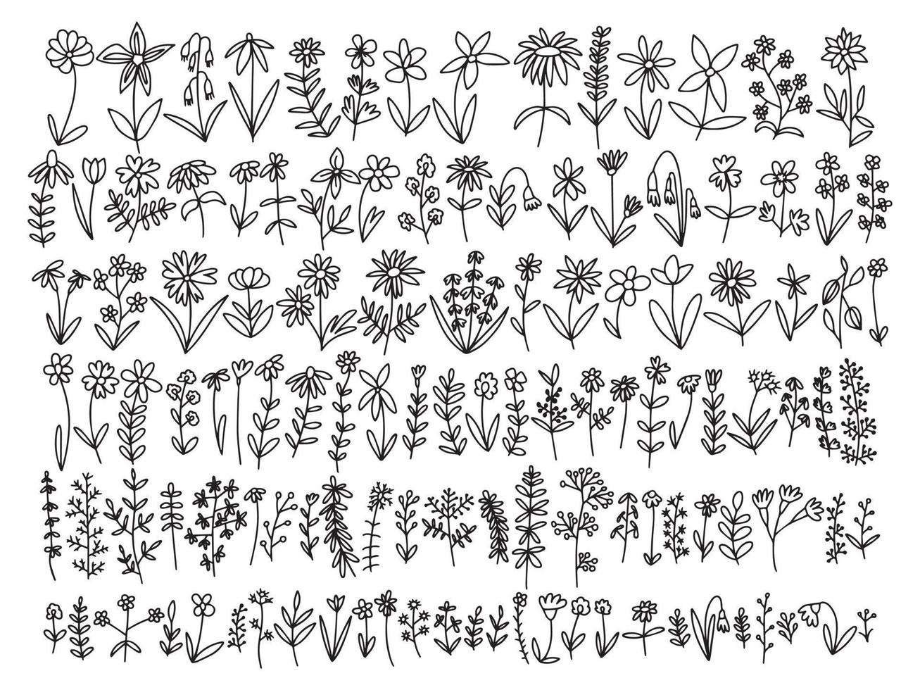 Vector doodle different kinds of flowers and herbs set. Big botanical wild flowers set