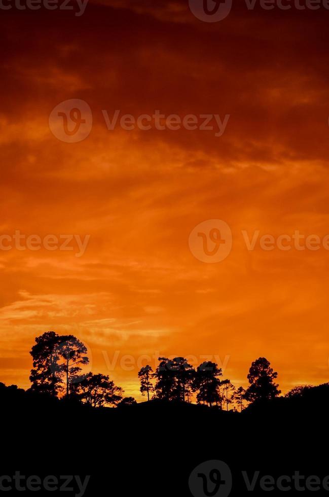 Colourful sky at sunset photo