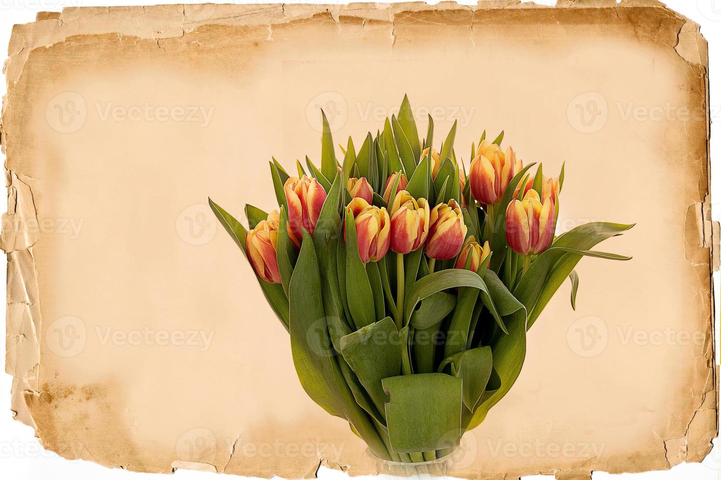 bouquet of spring red tulips on the background of an old beige paper card photo