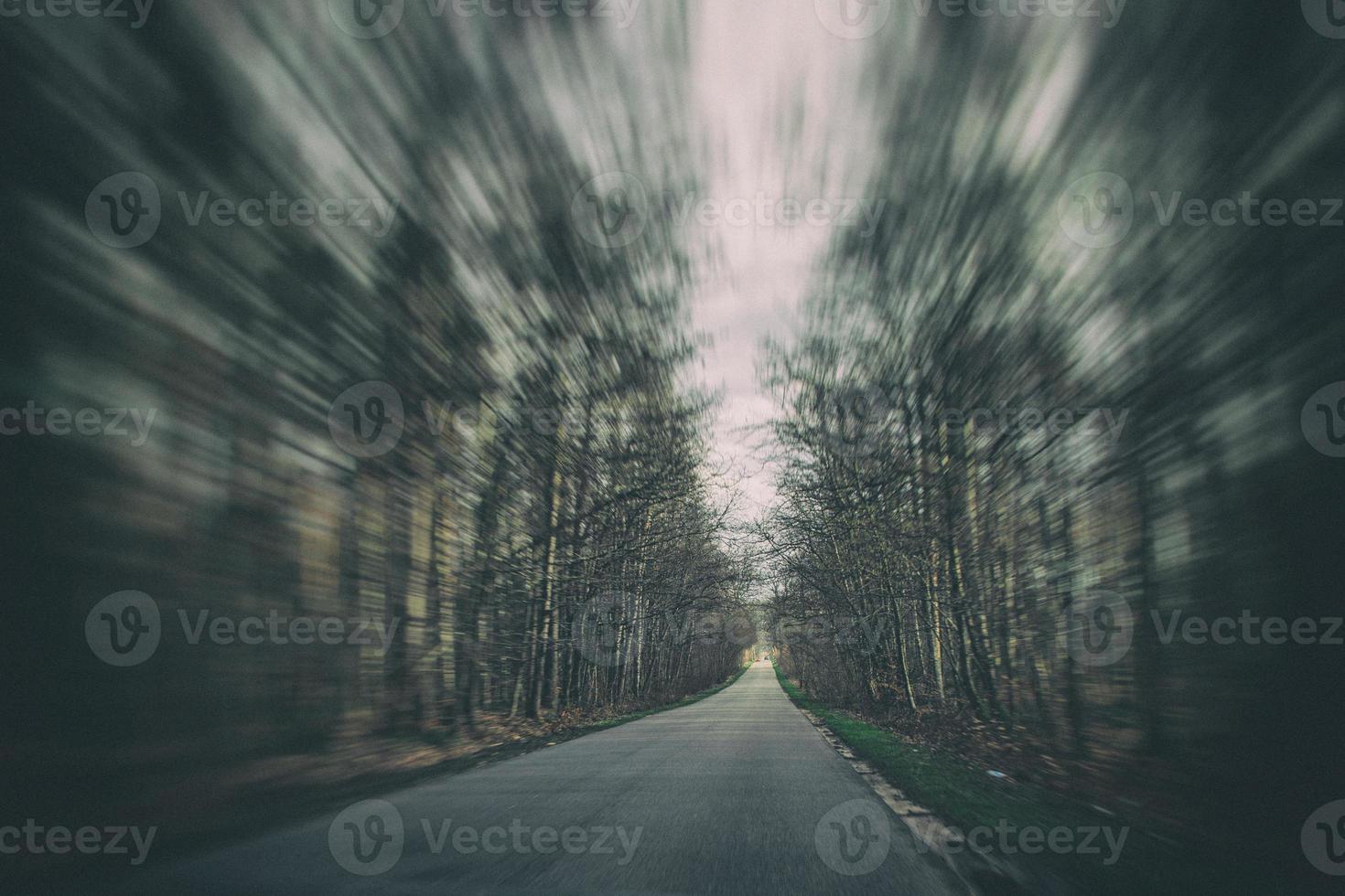 old narrow asphalt road with trees on the side of the road during a car ride in early spring photo