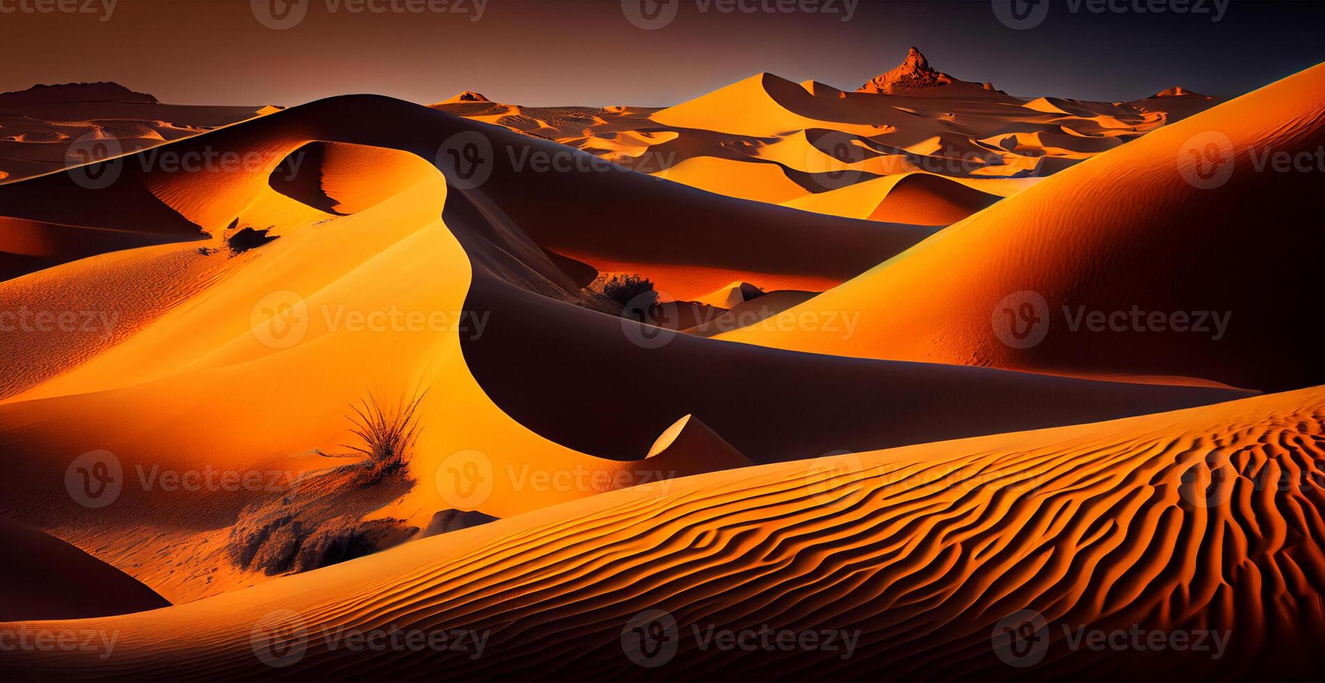 Bright scorching sun in the desert - Image photo