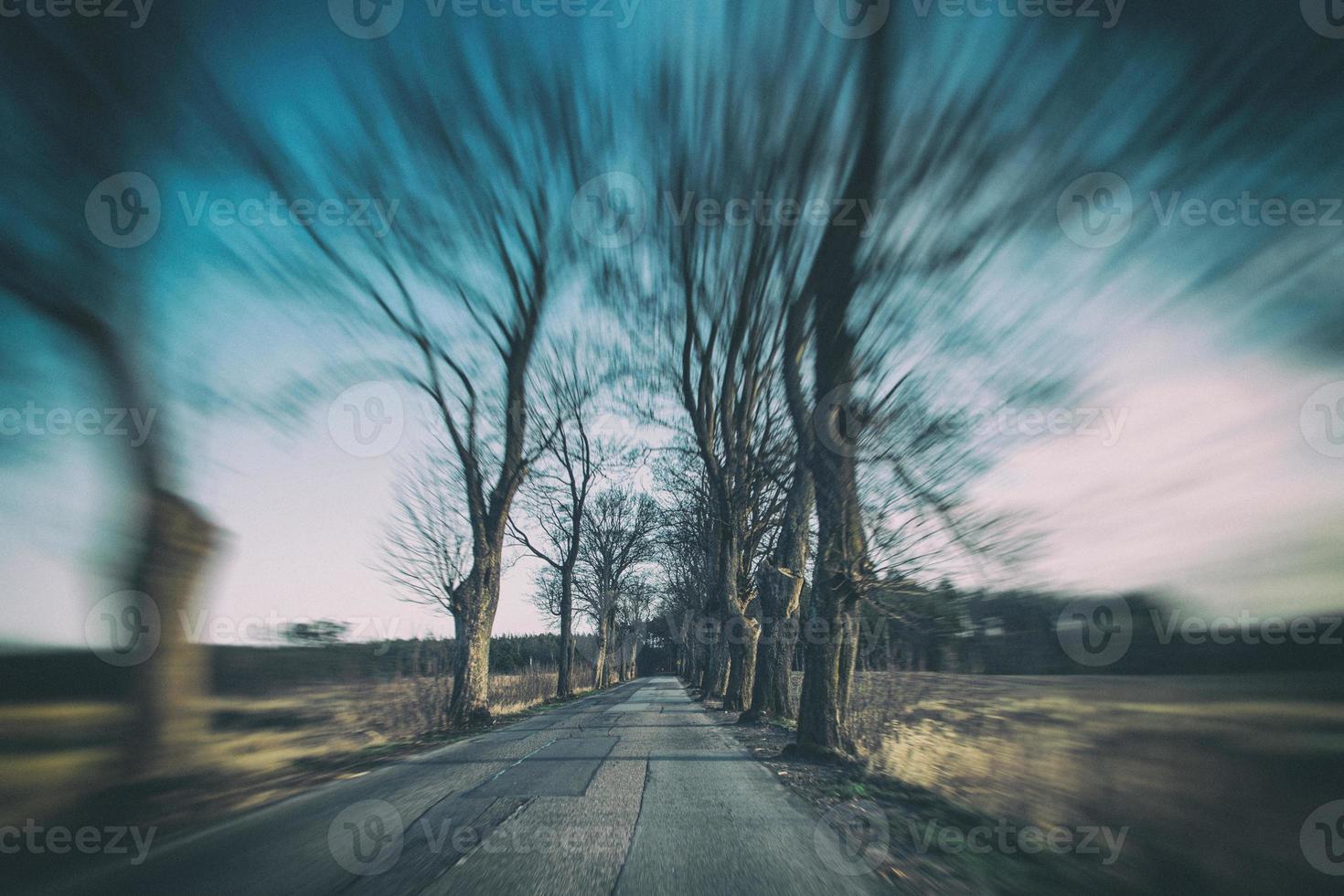 old narrow asphalt road with trees on the side of the road during a car ride in early spring photo