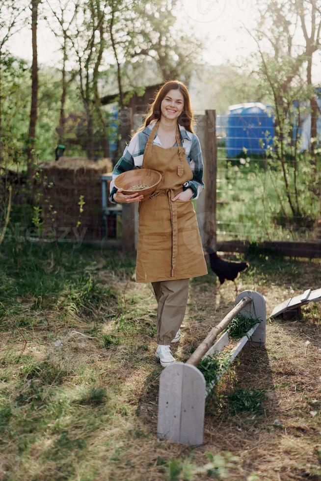 un joven mujer trabajos en un granja y vierte Fresco alimentar desde un cuenco a alimentar el pollos y hace Por supuesto el comida es limpiar y orgánico para el salud de el caras y pollos en un verano soleado día foto