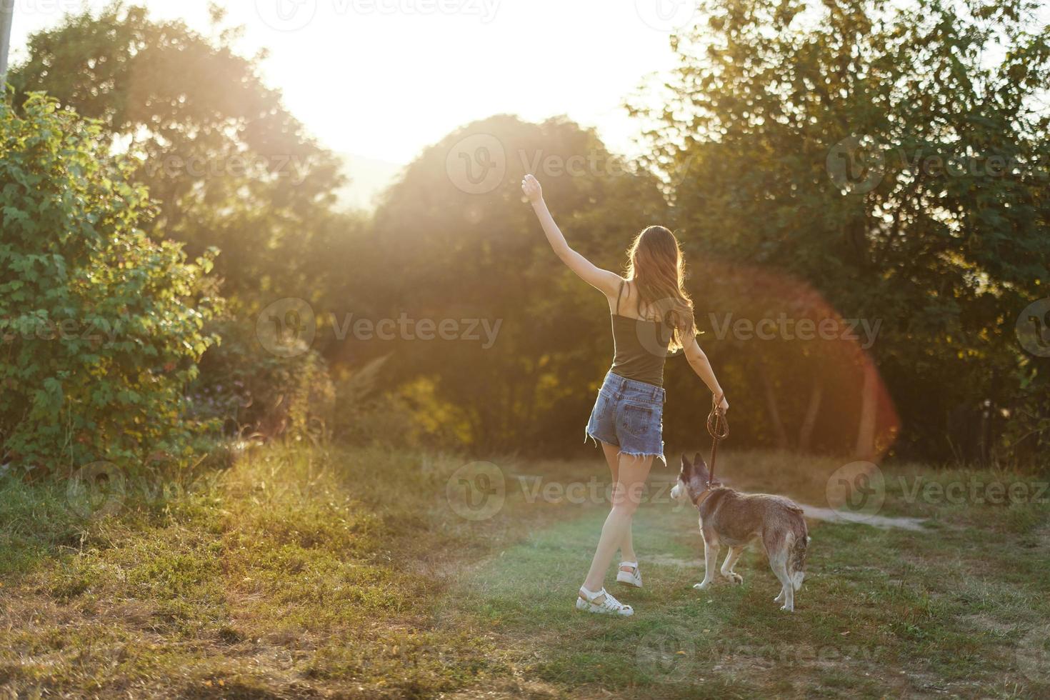 A woman runs her back to the camera with a dog in the forest during an evening walk in the forest at sunset in autumn. Lifestyle sports training with your beloved dog photo