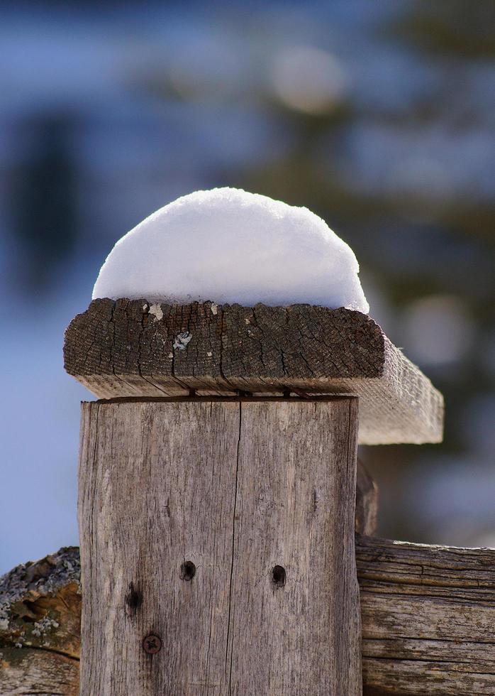 A snow cap on top of a wooden fence photo