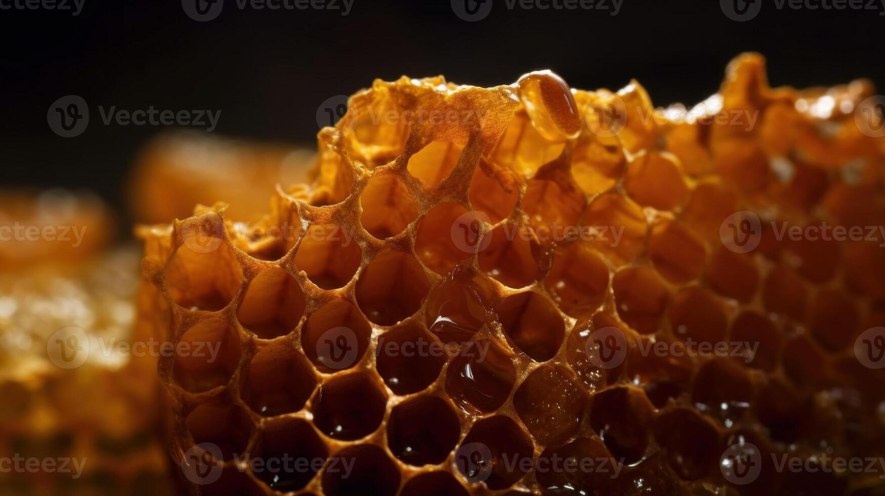 Close up of Honeycomb. photo