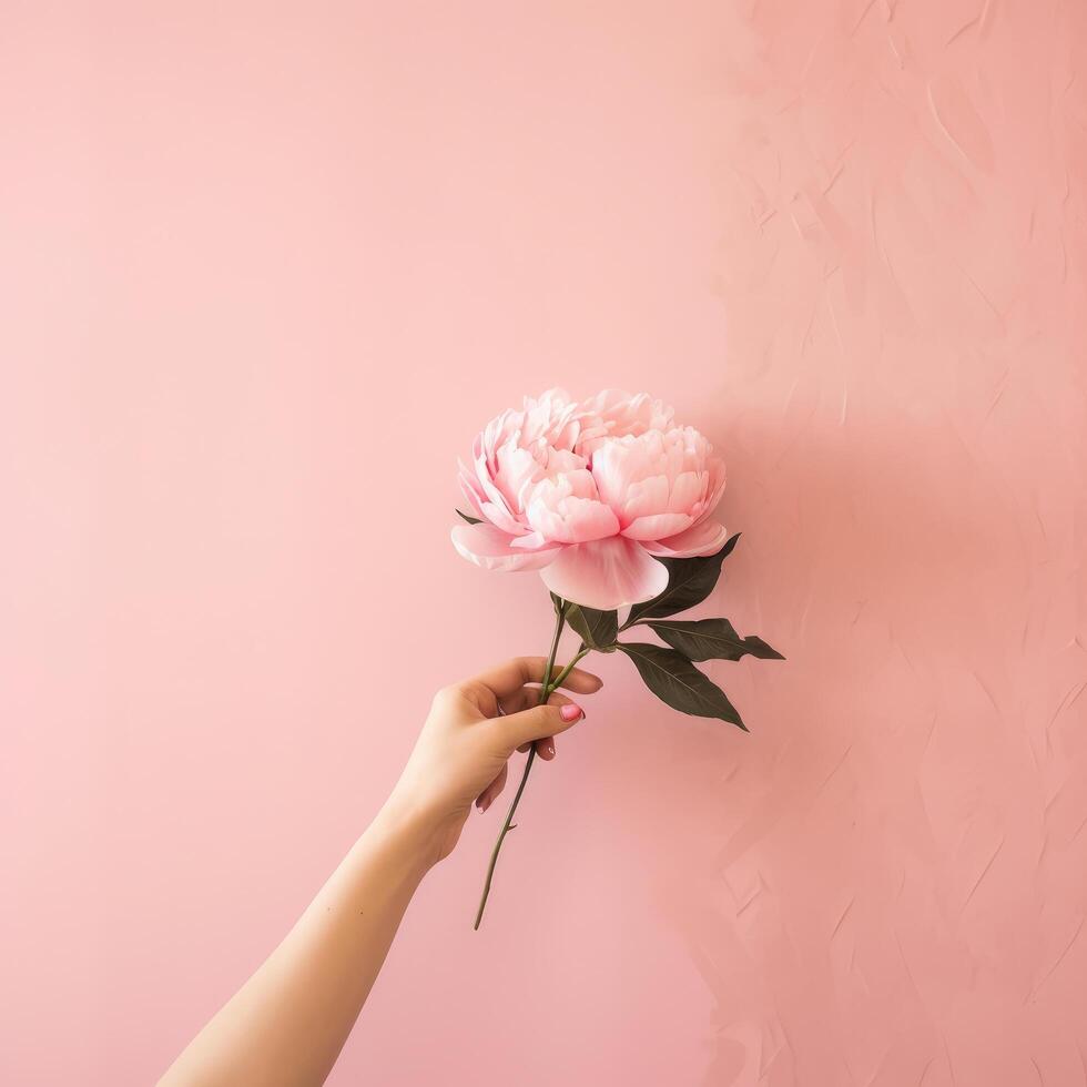 Hand with pink peony flower. Illustration photo