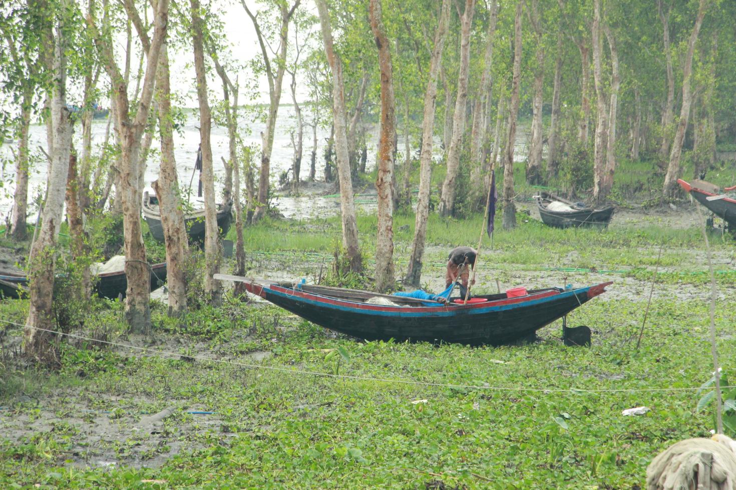 algunos árboles, barcos, y hombres estar en el arena cerca el río. foto