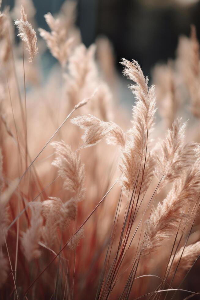 Natural Background with dry grass. Illustration photo