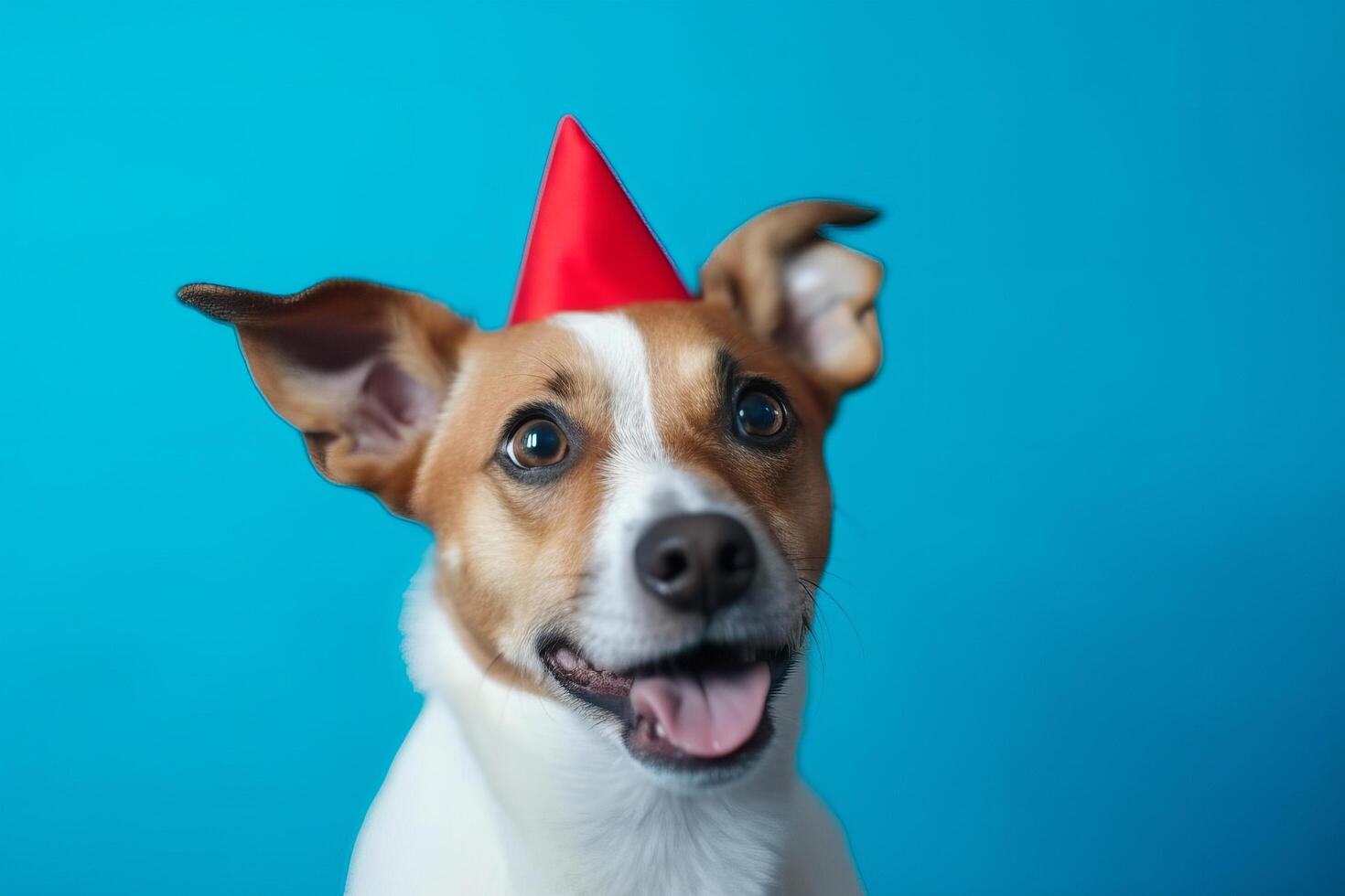 Cute dog in birthday cap. Illustration photo