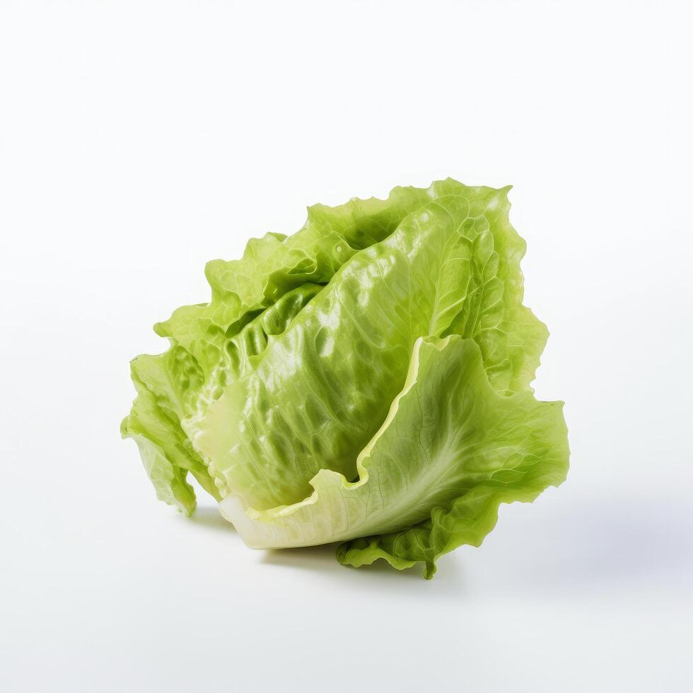 Green lettuce isolated. Illustration photo