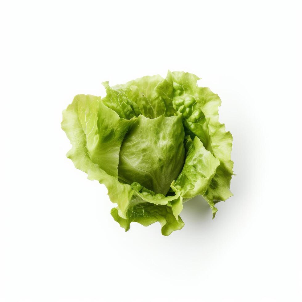 Green lettuce isolated. Illustration photo