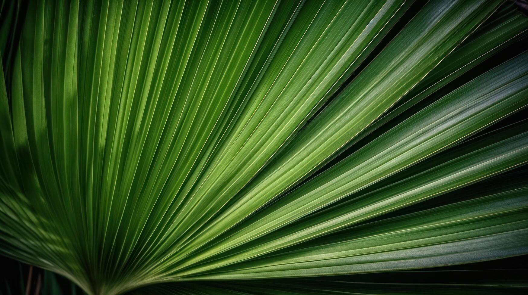 Green Palm Leaf background. Illustration photo