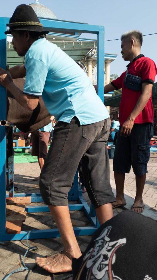 griego, Indonesia, junio 2022 - personas quien son trabajando juntos a llevar fuera qurbani durante eid al-adha foto