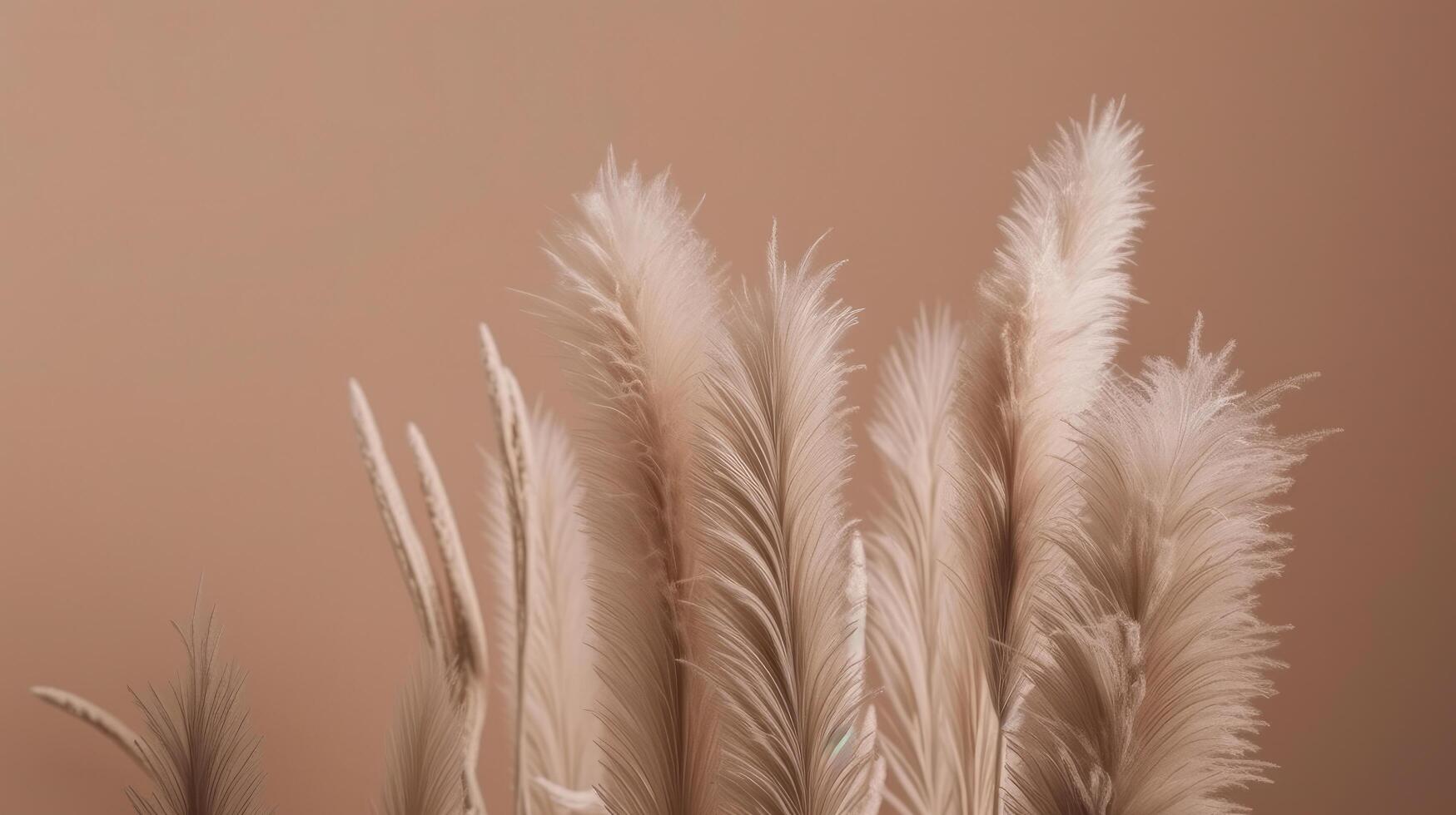 Pampas grass Minimalist Background. Illustration photo