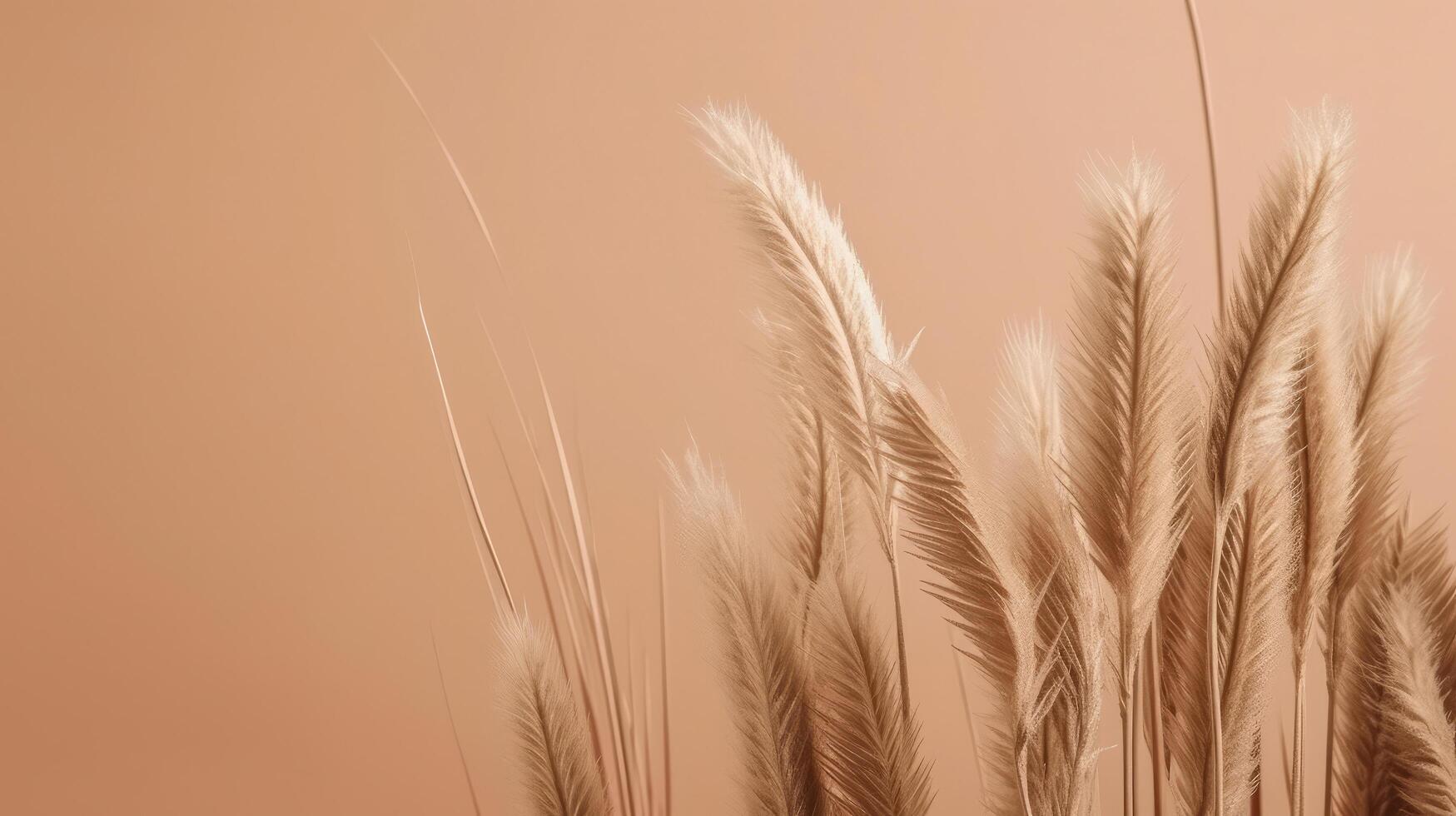 Pampas grass Minimalist Background. Illustration photo