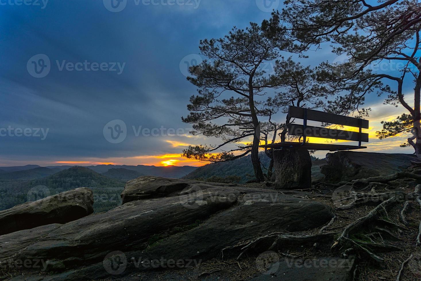 Bench at a viewpoint in the forest during sunset photo