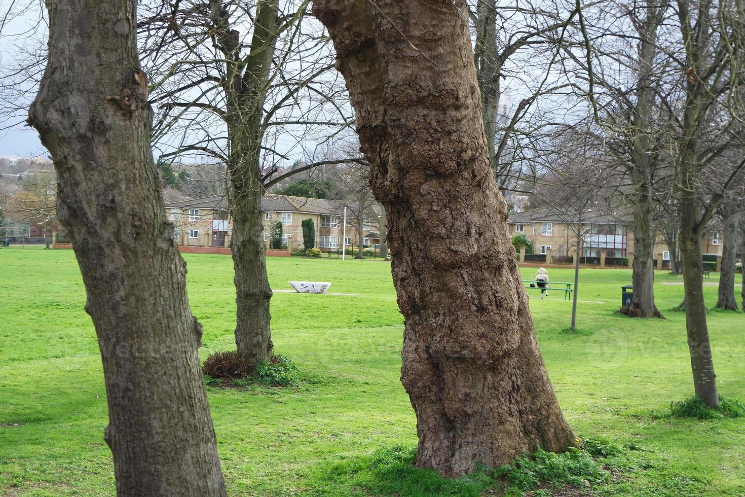 Low Angle View of Local Public Park and Beautiful Trees a Clear and Cold Day of 22-March-2023 at Luton Town of England UK. photo