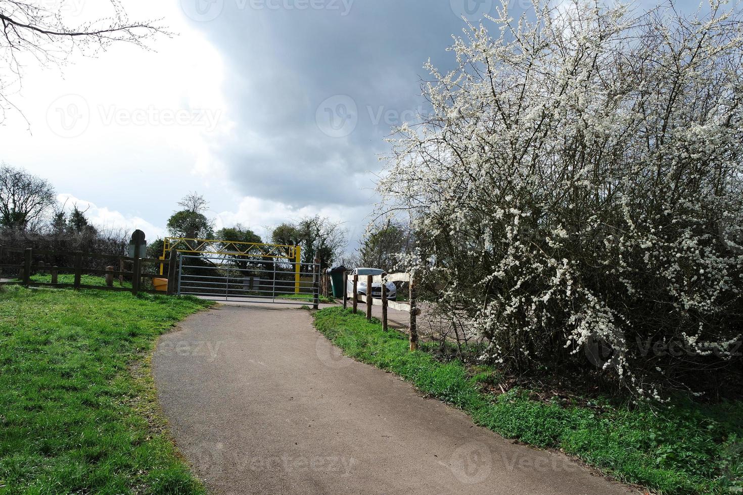 bajo ángulo ver de local público parque y hermosa arboles un claro y frío día de 22-marzo-2023 a lutón pueblo de Inglaterra Reino Unido. foto